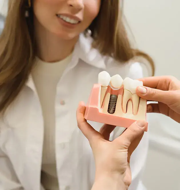 person looking at implant model